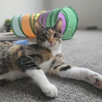 Photo of Sophie