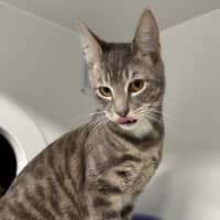 Photo of Parker