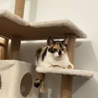 Photo of Missy
