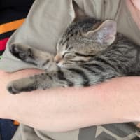 Photo of Kris Kringle