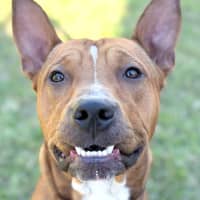 Photo of Reuben