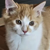 Photo of Percy