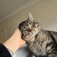Photo of Pascall