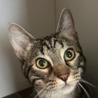 Photo of Spirit