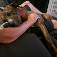 Photo of Baz