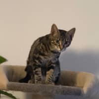 Photo of Sophie 