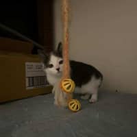 Photo of Hazel