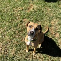 Photo of Mikey   Max