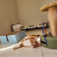 Photo of Baron Marmalade