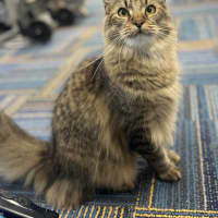 Photo of Timmy