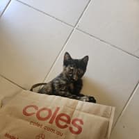 Photo of Jane (Now Maggie)