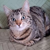 Photo of Titch