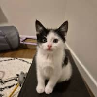 Photo of Roger Meet Me@Petstock Carrum Downs Store 