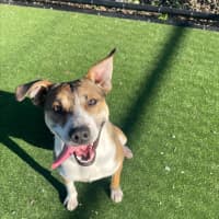 Photo of Kobe Imp 1375