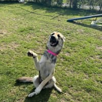 Photo of Sookie Imp 2206