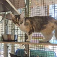 Photo of Spring! 🌷