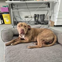 Photo of Meggie 💜