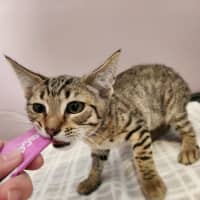 Photo of Andy   On Display @ Vets On Parker