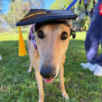 Photo of Sandy 