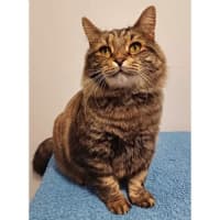 Photo of 11113   Malcolm