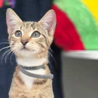 Photo of Molly (8980)