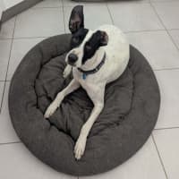 Photo of Gus