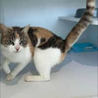 Photo of Jazzi ❤️