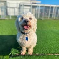 Photo of Bobby