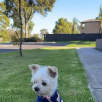 Photo of Fran Drescher