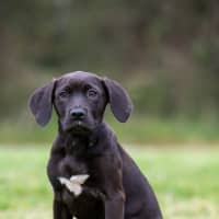 Photo of Beatrice