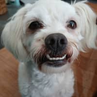 Photo of Miracle