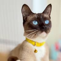 Photo of Celine