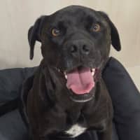 Photo of Zeus
