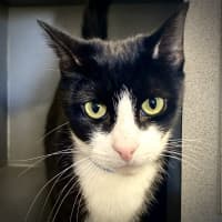 Photo of Pretty Girl