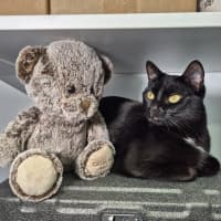 Photo of Betty