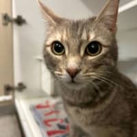 Photo of Willa