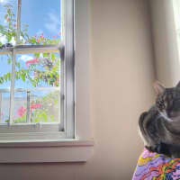Photo of Lucy