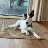 Photo of Kit