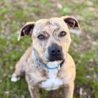 Photo of Sabre