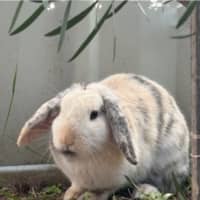 Photo of Dorothy