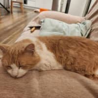 Photo of Churro