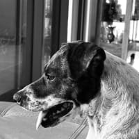 Photo of Billie Jean