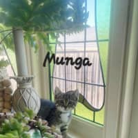 Photo of Munga