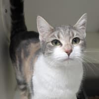 Photo of 🕯️ Wicket 7287 🕯️