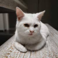 Photo of Maggie