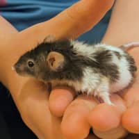 Photo of Jerry