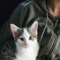 Photo of Aspen Meet Me@Petstock Chelsea Store 