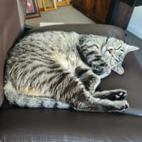 Photo of Marceline   In Foster Care In Preston