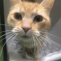 Photo of Roxanne