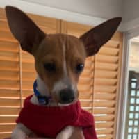 Photo of Pablo